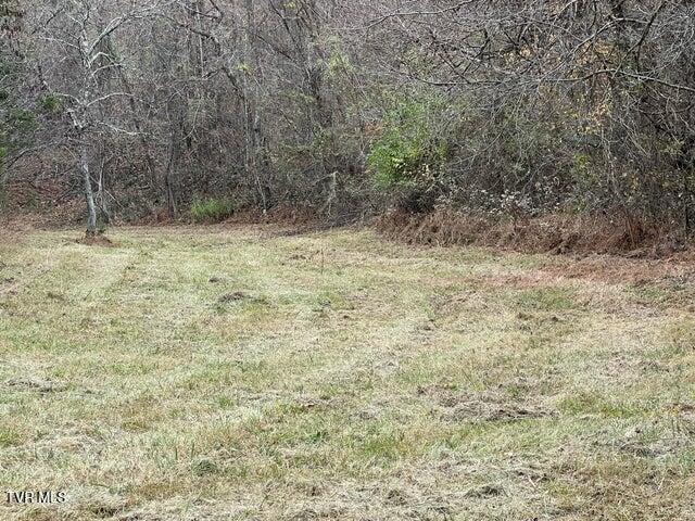 Photo #22: 168 Buzzard Roost Road