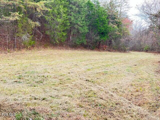 Photo #23: 168 Buzzard Roost Road