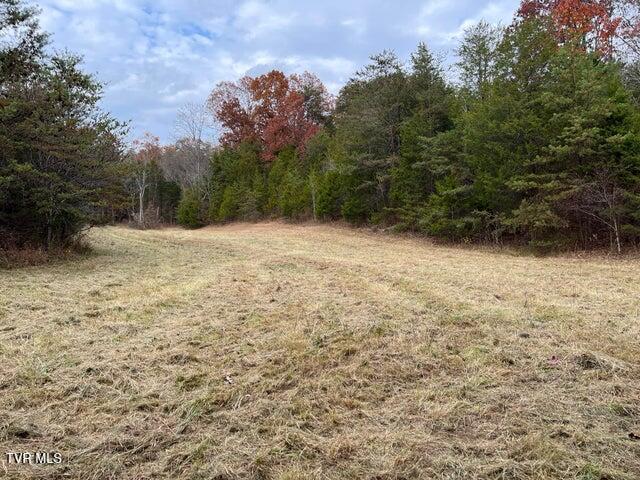 Photo #24: 168 Buzzard Roost Road