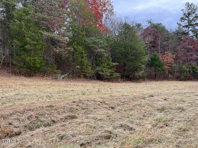 Photo #25: 168 Buzzard Roost Road