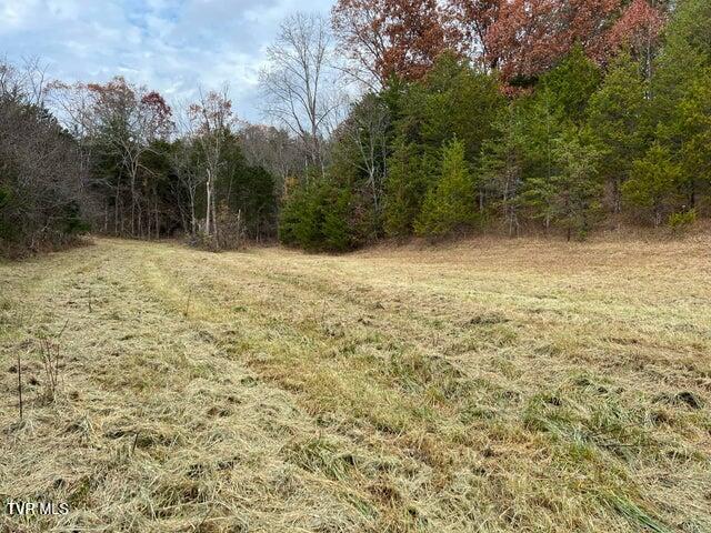 Photo #27: 168 Buzzard Roost Road