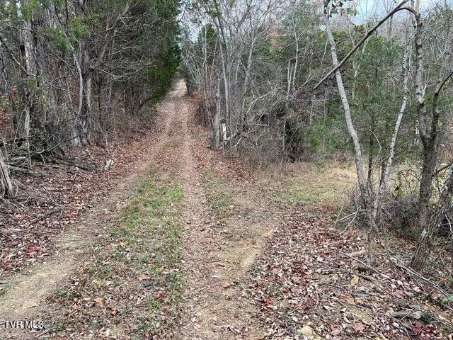 Photo #28: 168 Buzzard Roost Road