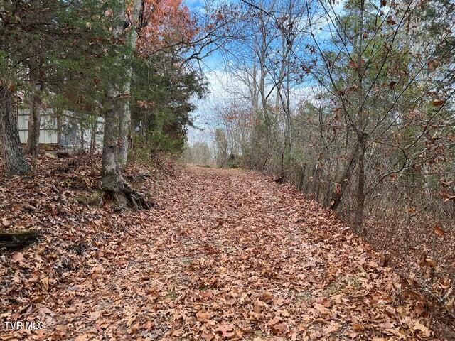 Photo #29: 168 Buzzard Roost Road