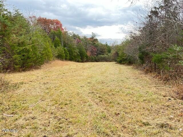 Photo #31: 168 Buzzard Roost Road