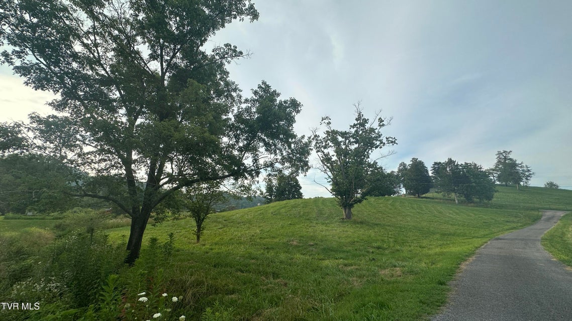 Photo #7: 202 Eidson Lane