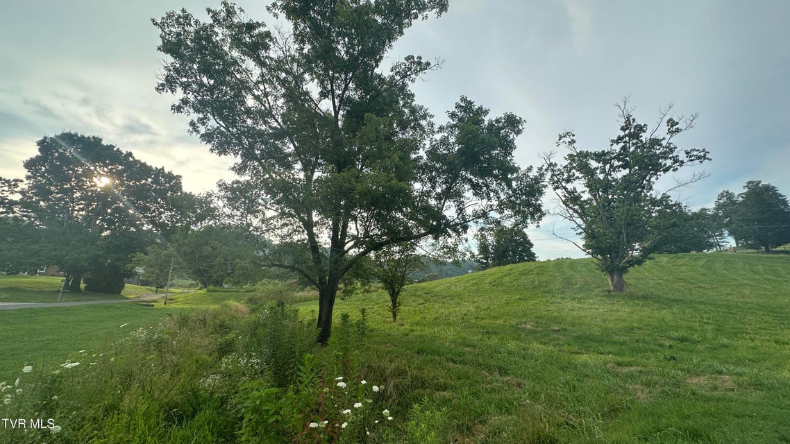 Photo #8: 202 Eidson Lane