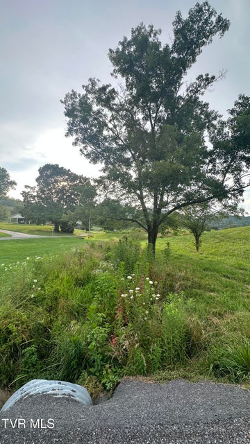 Photo #10: 202 Eidson Lane
