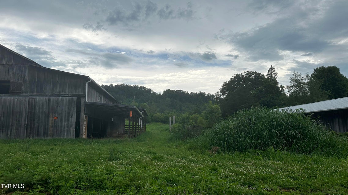 Photo #24: 202 Eidson Lane
