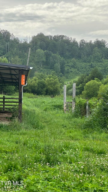 Photo #26: 202 Eidson Lane