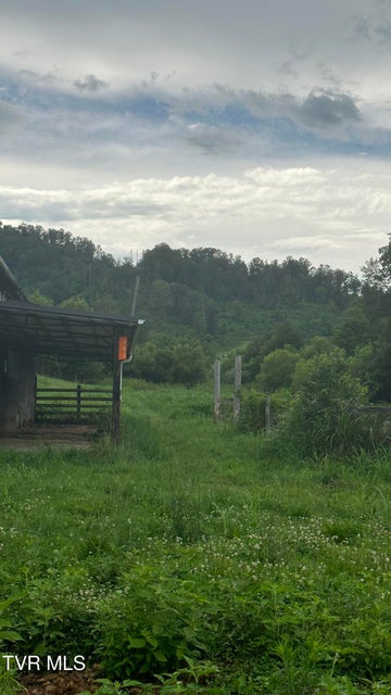 Photo #27: 202 Eidson Lane