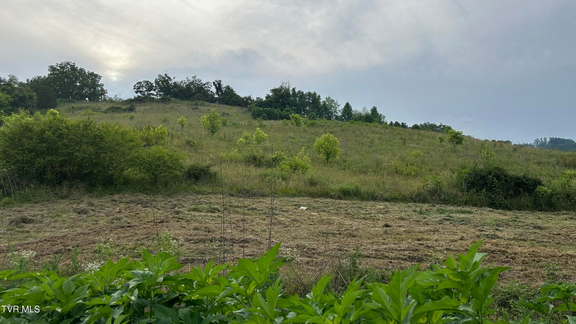 Photo #91: 202 Eidson Lane
