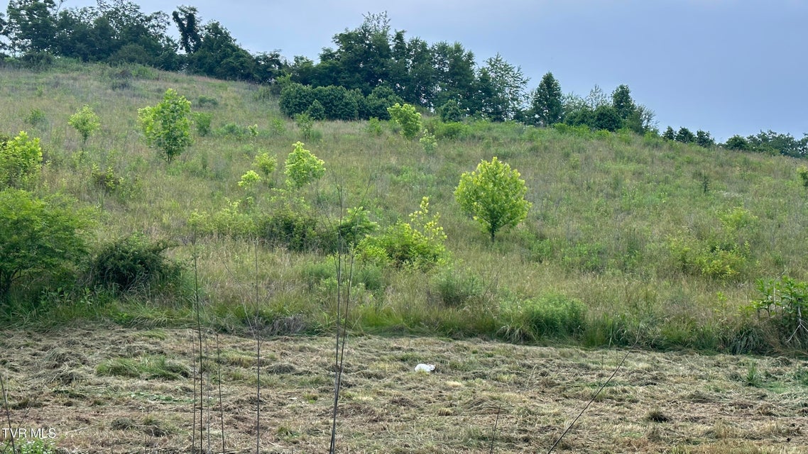 Photo #92: 202 Eidson Lane