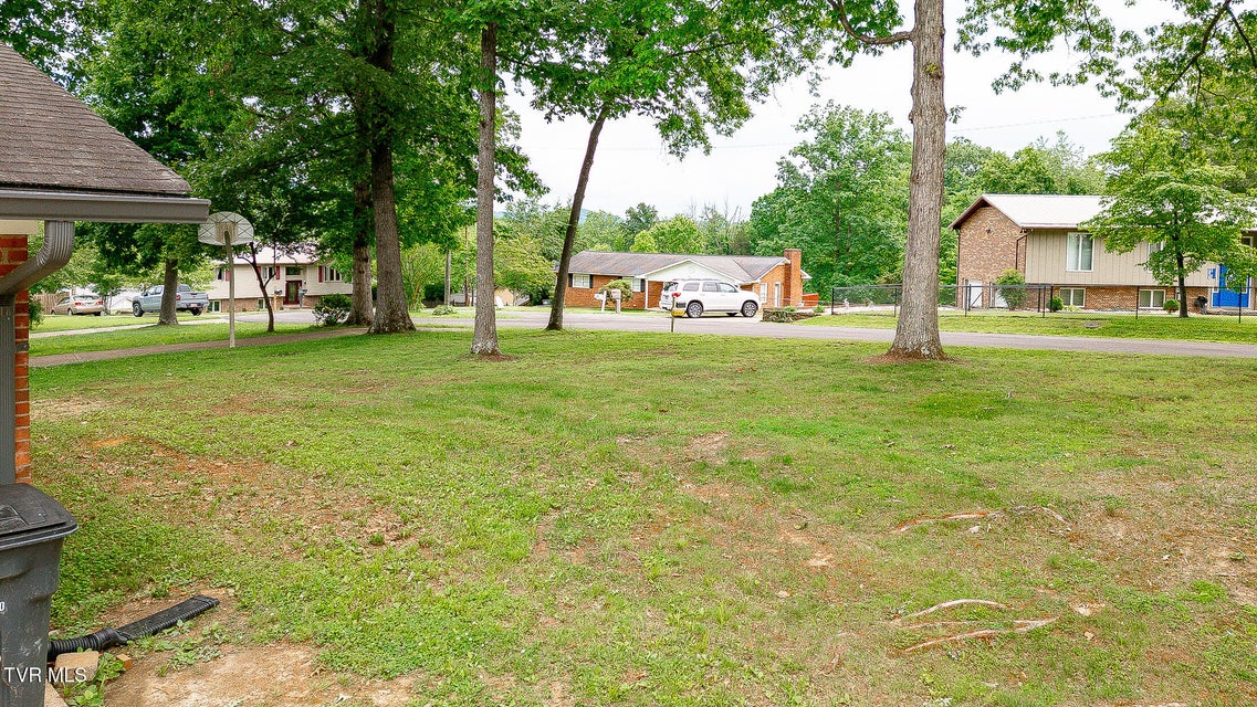 Photo #76: 1236 Nassau Drive