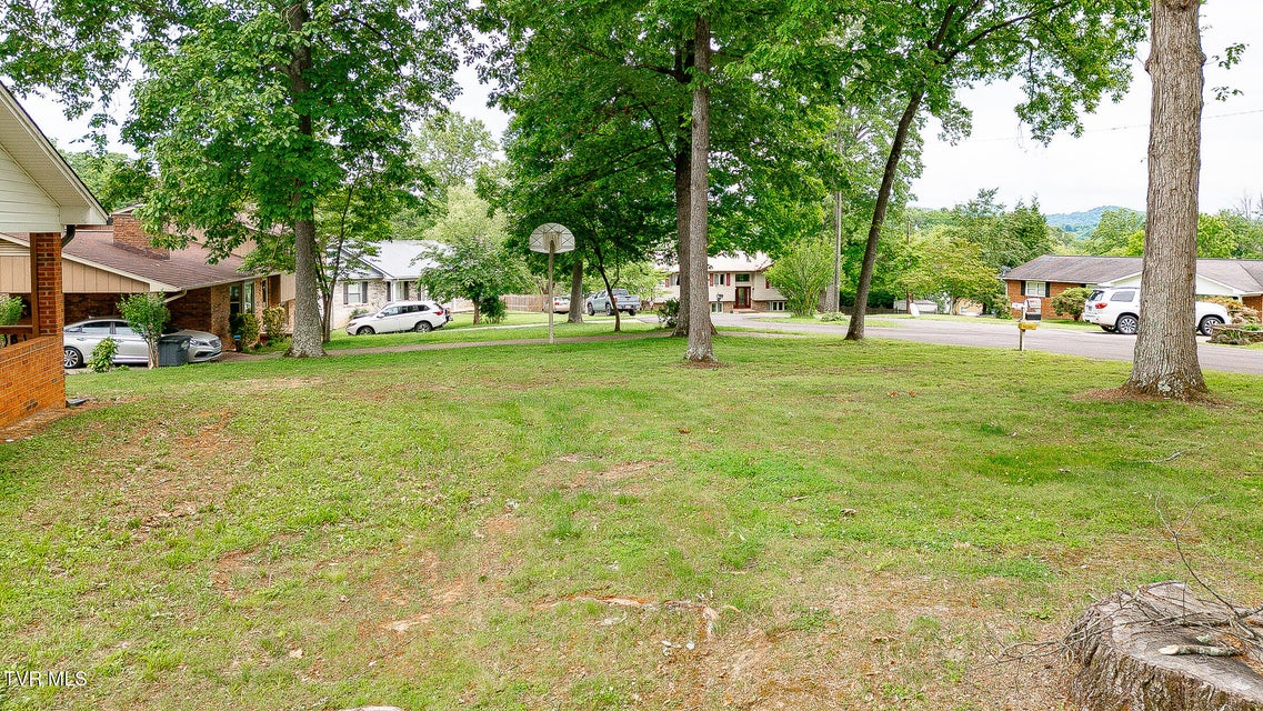 Photo #77: 1236 Nassau Drive
