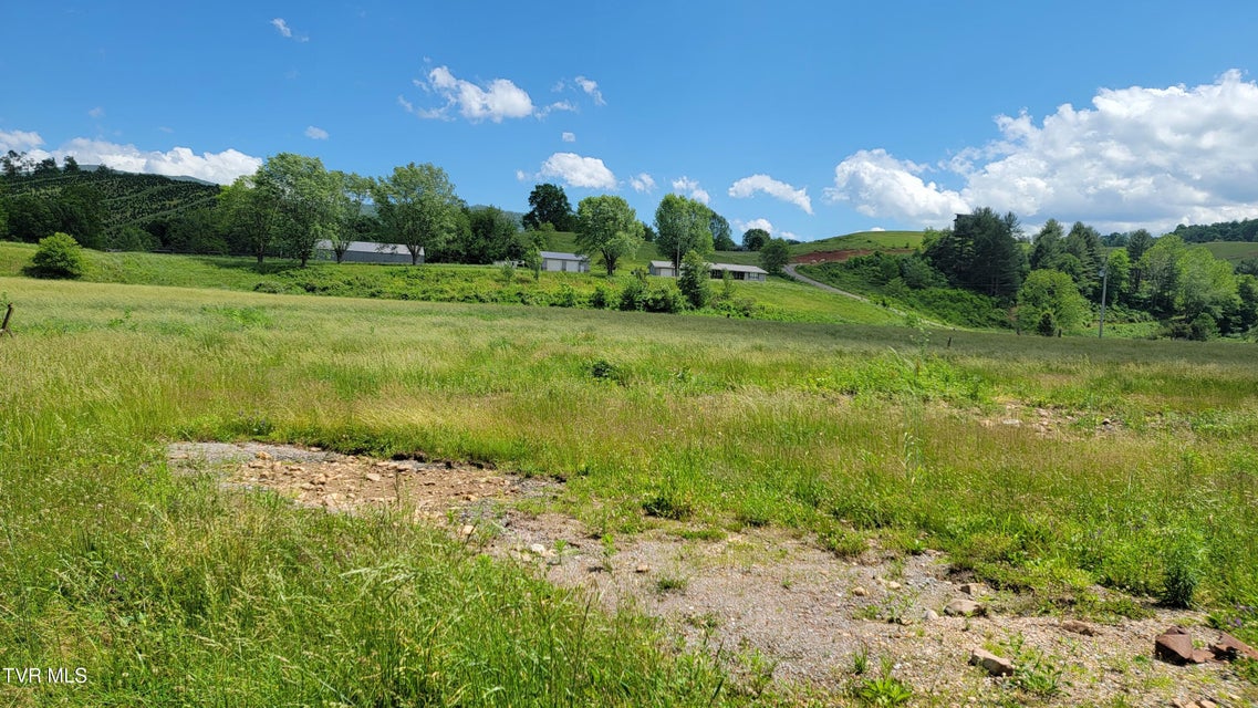 Photo #2: 262 Stout Branch Road