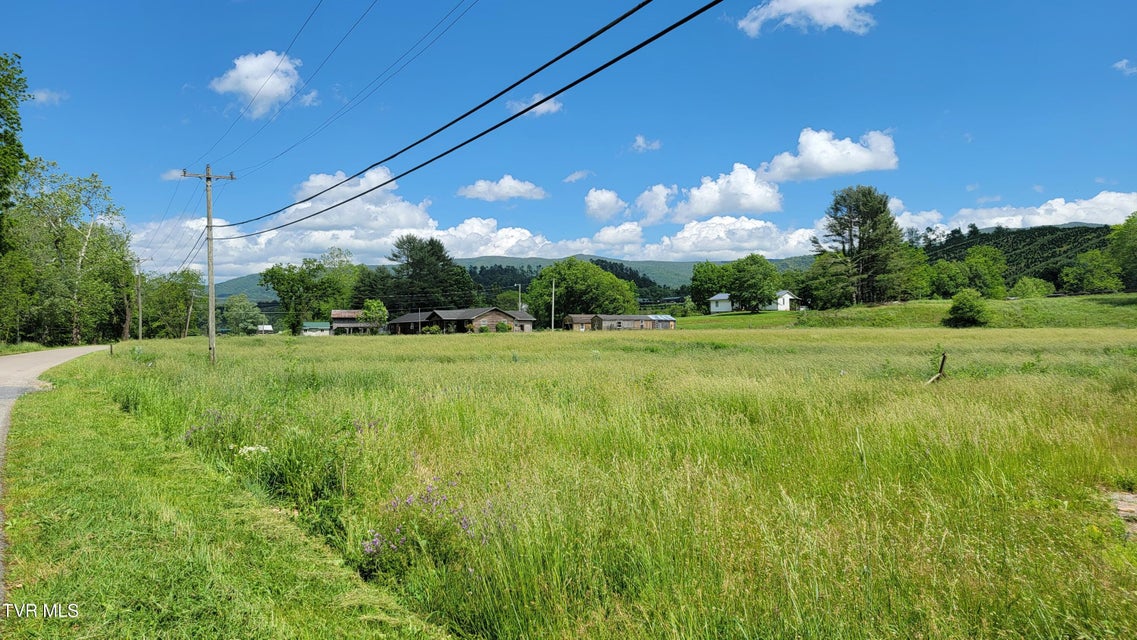 Photo #4: 262 Stout Branch Road