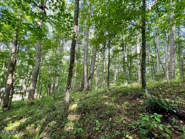 Photo #4: 337 Heaton Creek Road
