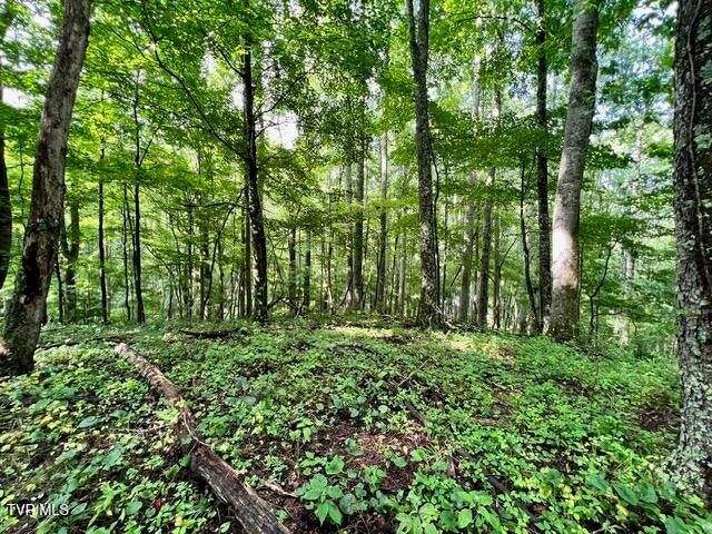 Photo #7: 337 Heaton Creek Road