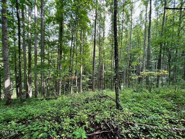 Photo #8: 337 Heaton Creek Road