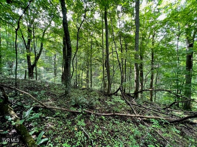 Photo #9: 337 Heaton Creek Road