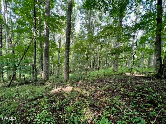 Photo #10: 337 Heaton Creek Road