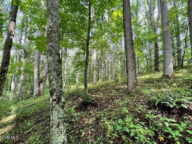Photo #11: 337 Heaton Creek Road