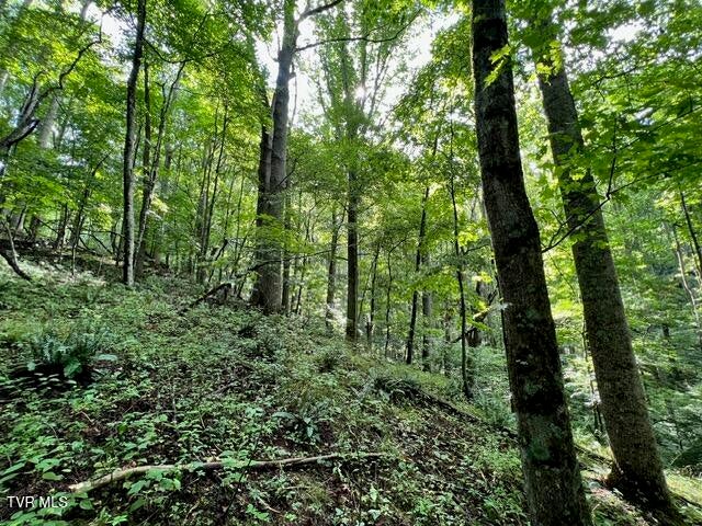 Photo #13: 337 Heaton Creek Road