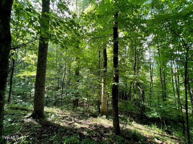 Photo #14: 337 Heaton Creek Road