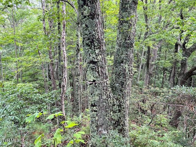 Photo #17: 337 Heaton Creek Road