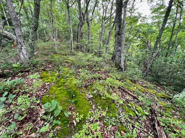 Photo #18: 337 Heaton Creek Road