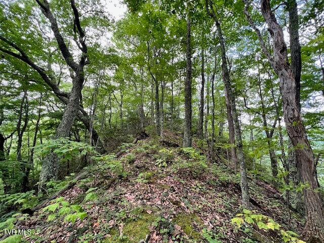 Photo #19: 337 Heaton Creek Road