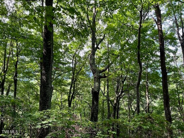 Photo #20: 337 Heaton Creek Road