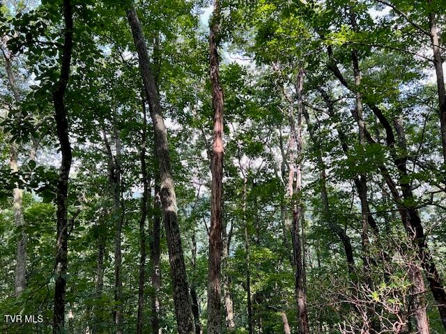 Photo #21: 337 Heaton Creek Road