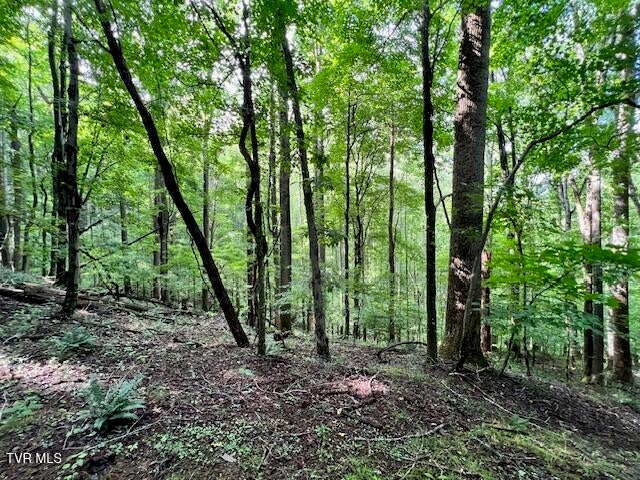 Photo #22: 337 Heaton Creek Road