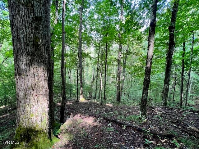 Photo #23: 337 Heaton Creek Road