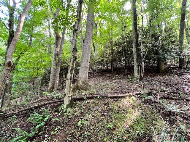 Photo #24: 337 Heaton Creek Road
