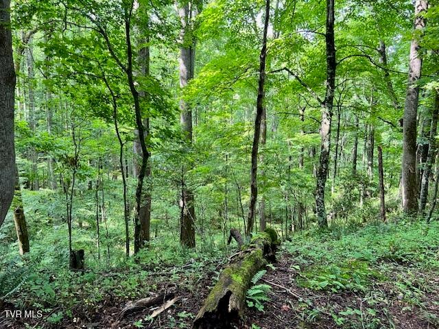 Photo #25: 337 Heaton Creek Road