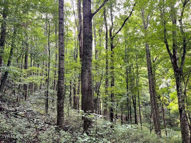 Photo #26: 337 Heaton Creek Road
