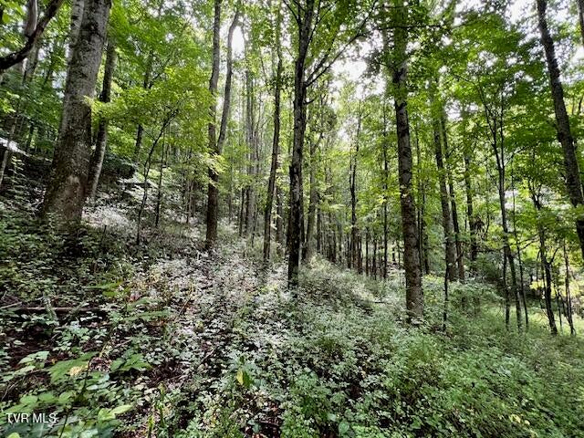 Photo #27: 337 Heaton Creek Road
