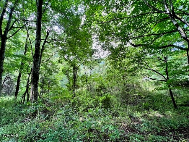Photo #28: 337 Heaton Creek Road