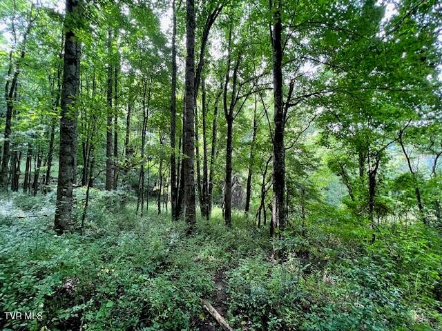 Photo #29: 337 Heaton Creek Road