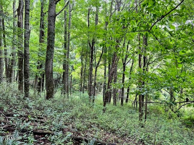 Photo #2: 337 Heaton Creek Road