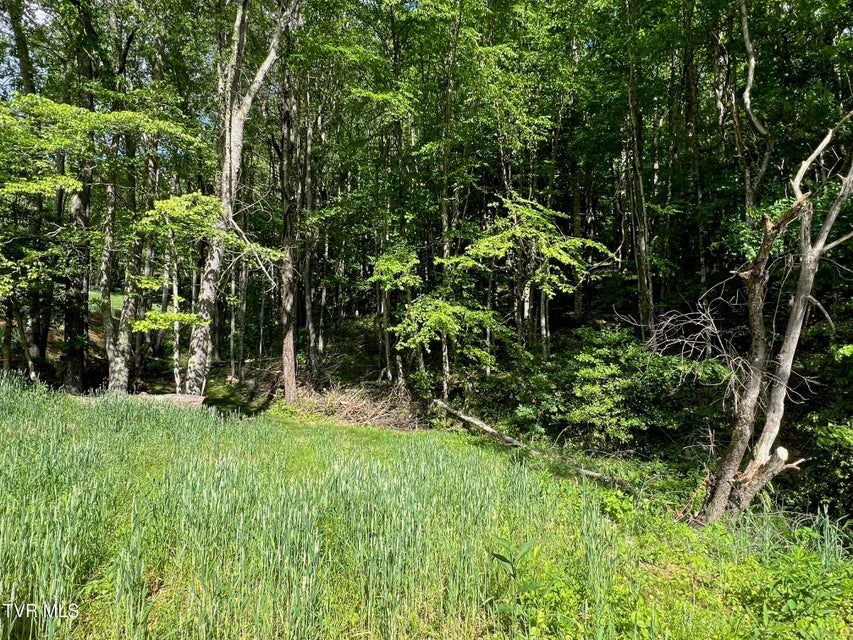 Photo #32: 337 Heaton Creek Road