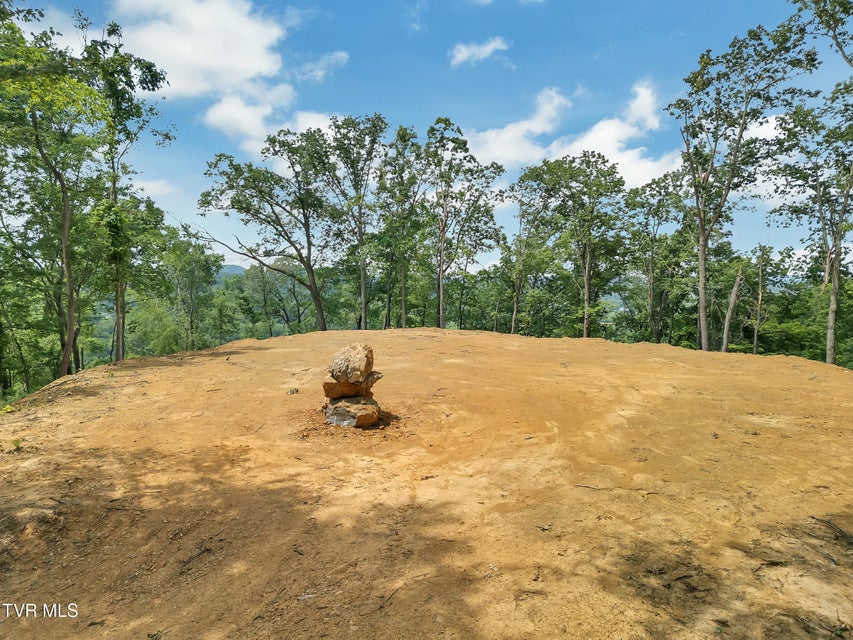 Photo #7: 750 Herb Hodge Road