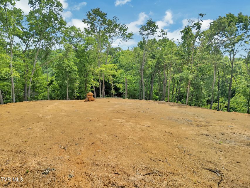 Photo #8: 750 Herb Hodge Road