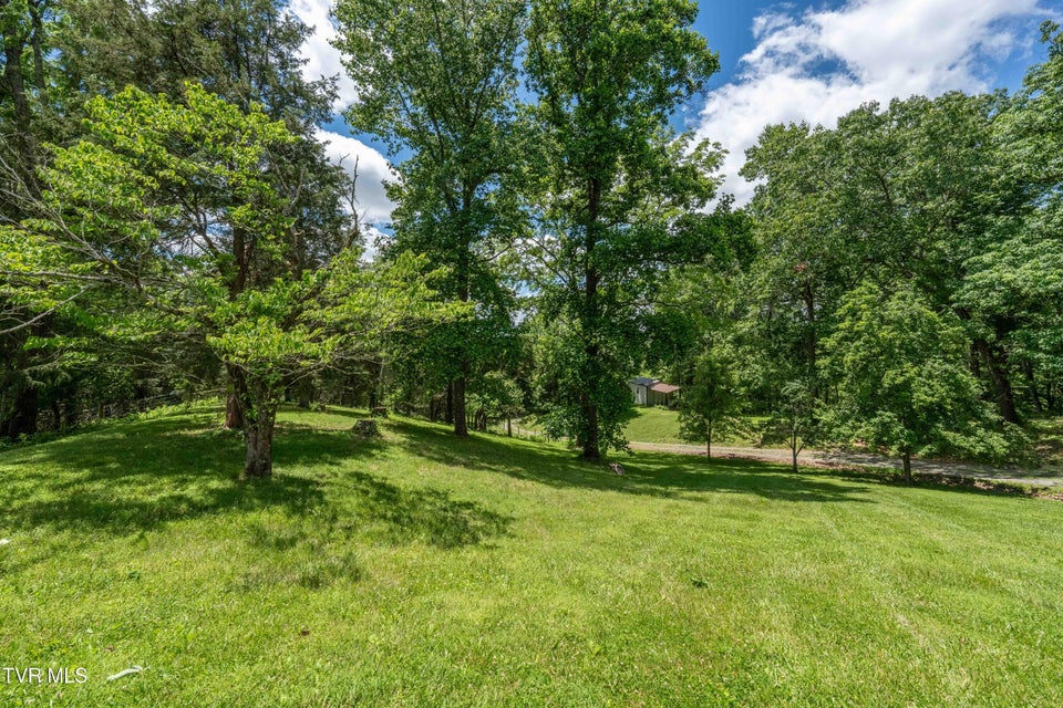 Photo #81: 472 Harmony Road