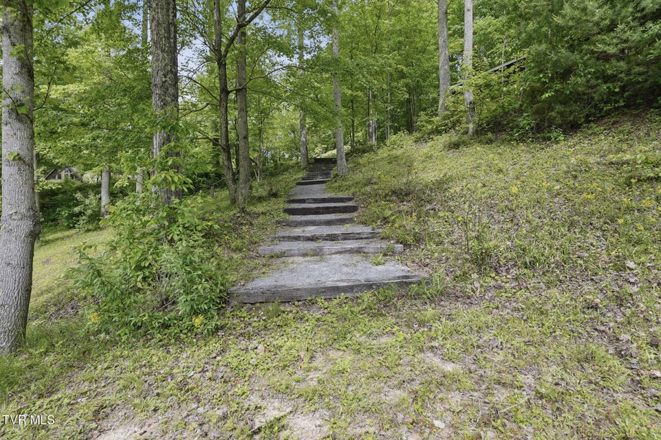 Photo #39: 8466 Courtland Road