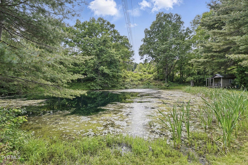 Photo #40: 8466 Courtland Road