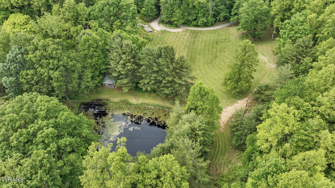 Photo #49: 8466 Courtland Road