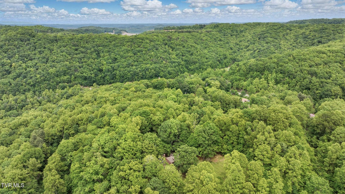 Photo #51: 8466 Courtland Road